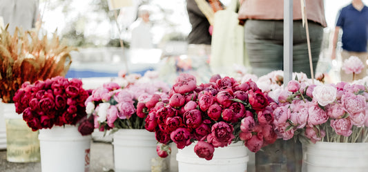 List of 10 Wedding Professionals in LA You Need to Call!